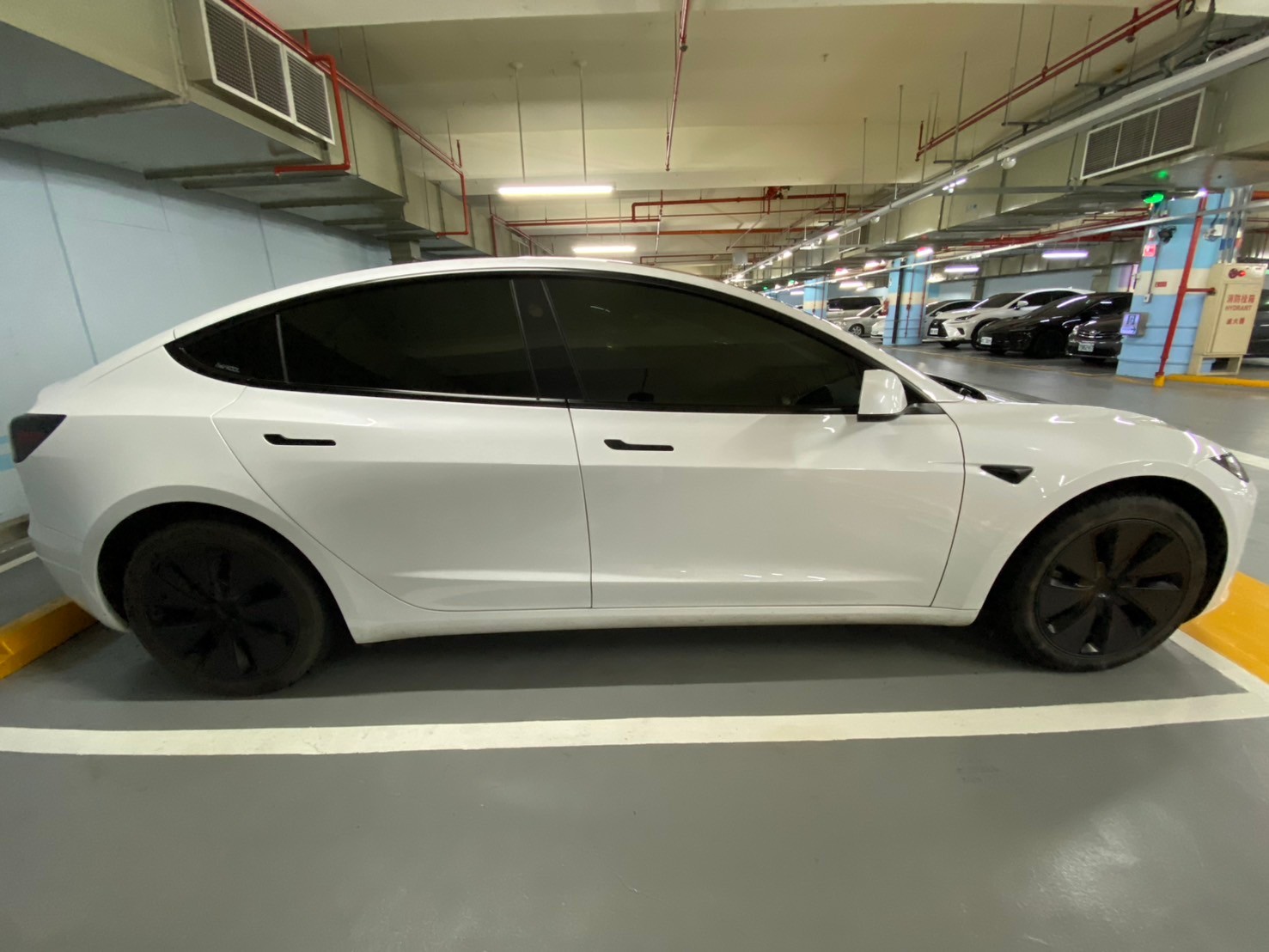 Tesla Model 3 煥新版 SR 2024 Image 4