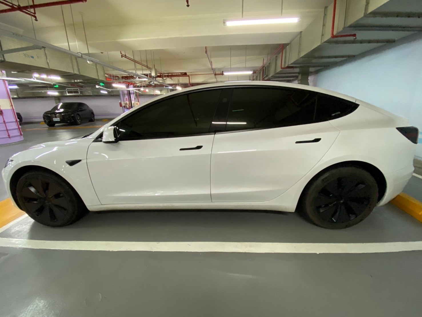 Tesla Model 3 煥新版SR 2024 Image 8