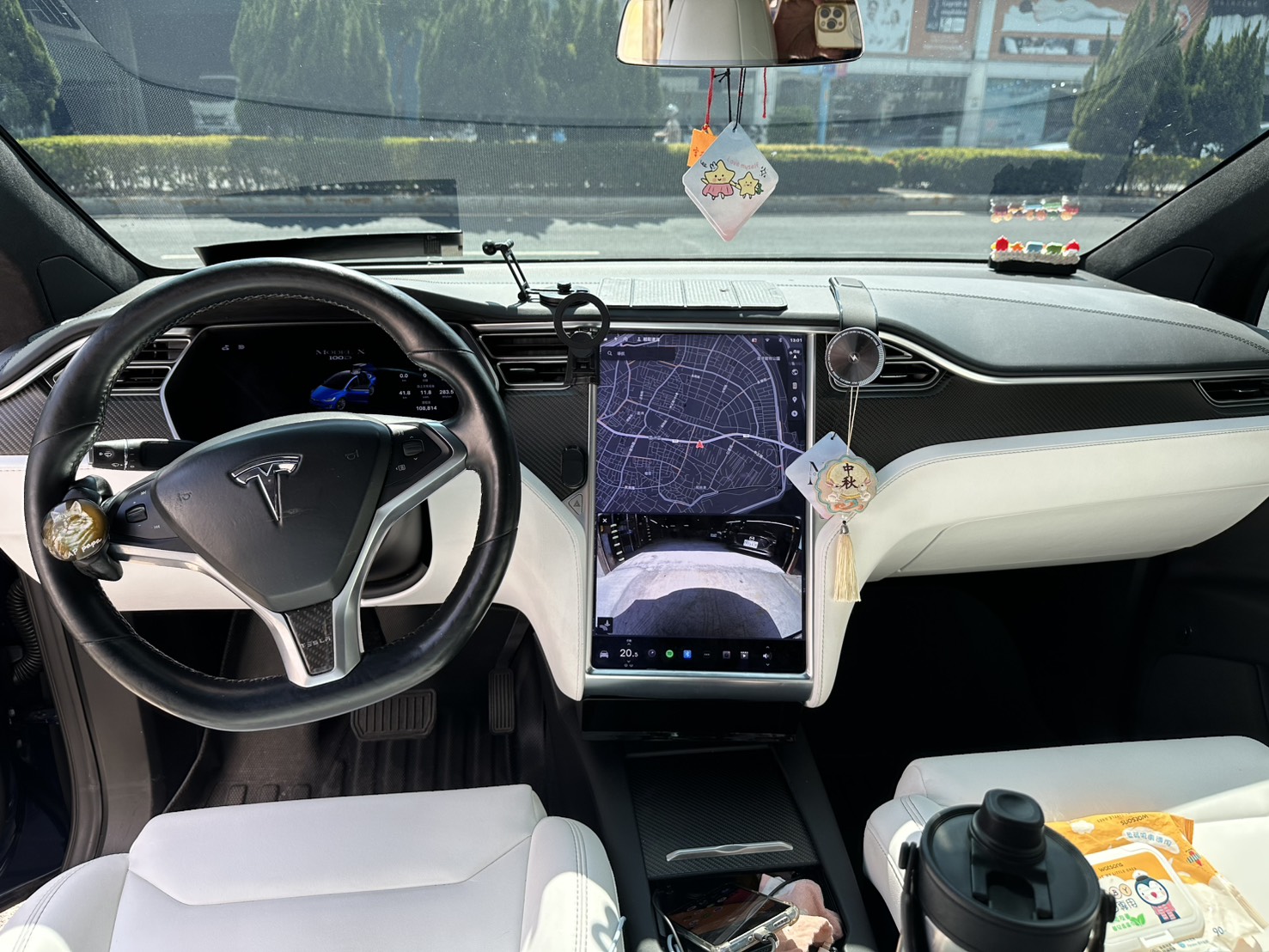 Tesla Model  X 100D 2018 Image 8