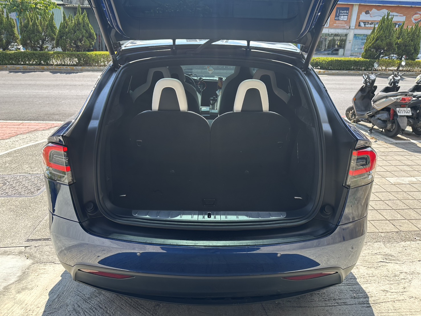 Tesla Model  X 100D 2018 Image 10