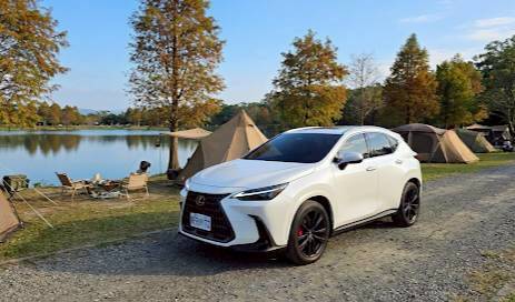 LEXUS NX250 頂級版 2024 Image 6