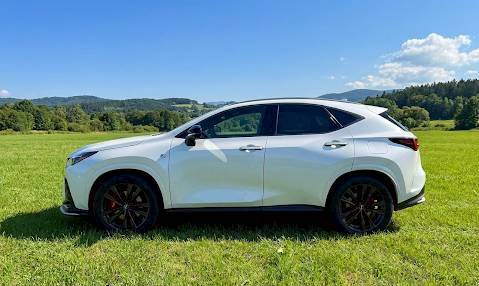 LEXUS NX250 頂級版 2024 Image 1