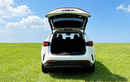 LEXUS NX250 頂級版 2024 Image 2